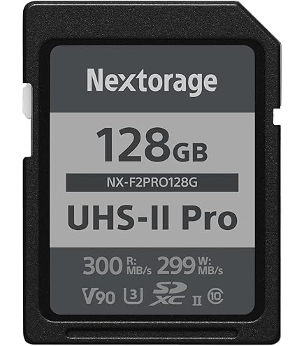 Amazon.com: ProMaster SDXC 512GB Rugged™ Memory Card, CINE UHS-II